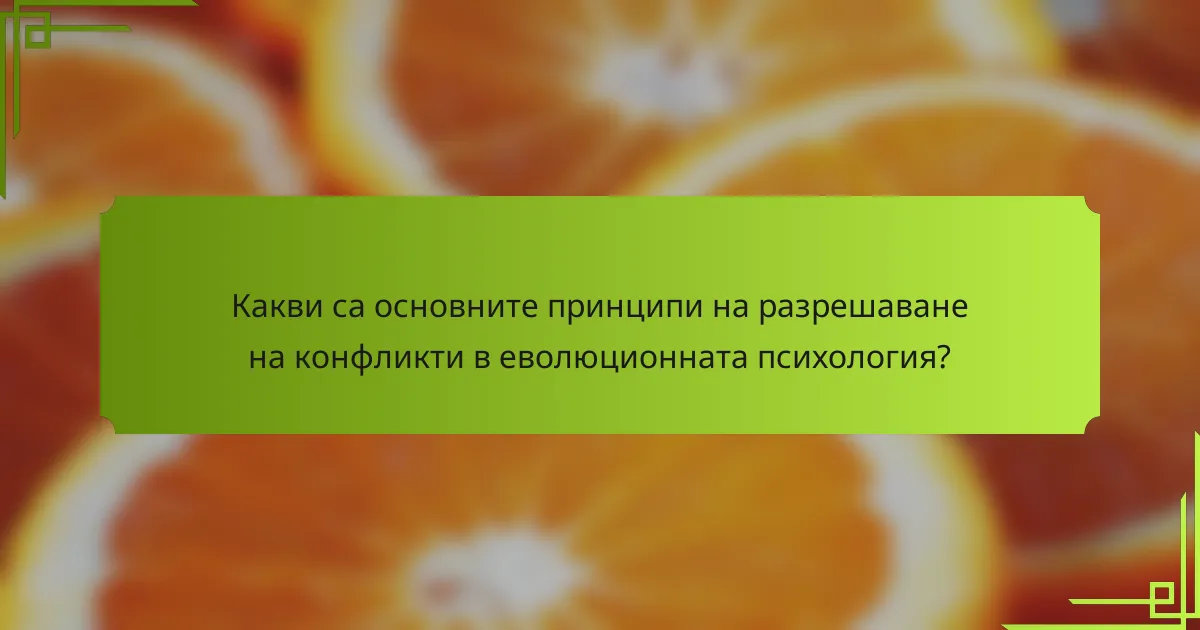 Какви са основните принципи на разрешаване на конфликти в еволюционната психология?