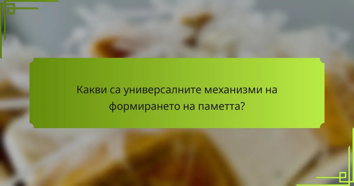Какви са универсалните механизми на формирането на паметта?
